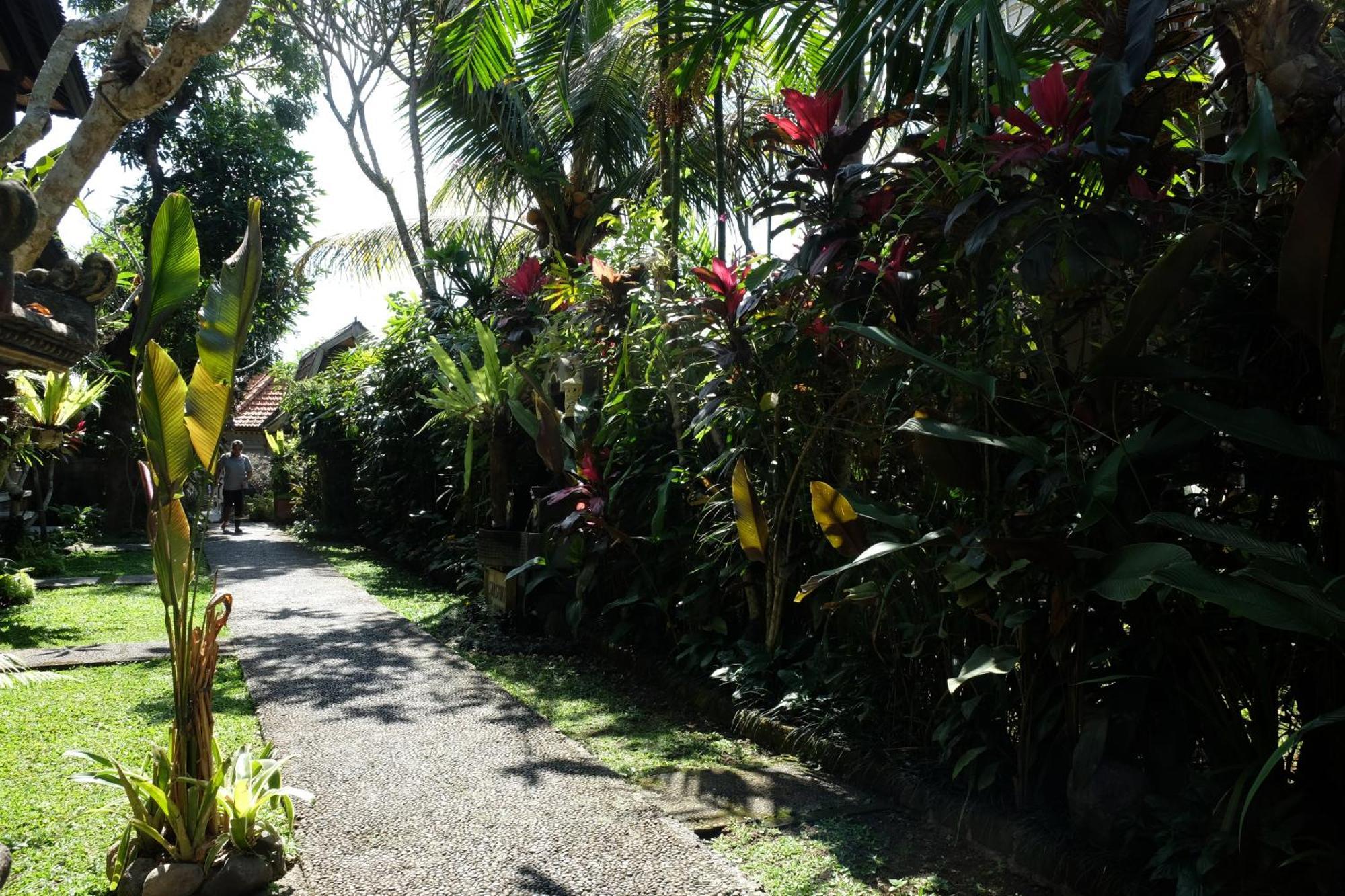 Suastika Guest House Ubud Esterno foto