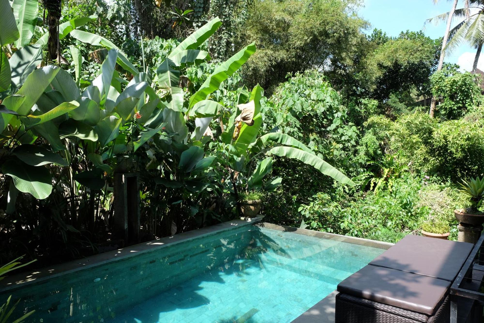 Suastika Guest House Ubud Esterno foto